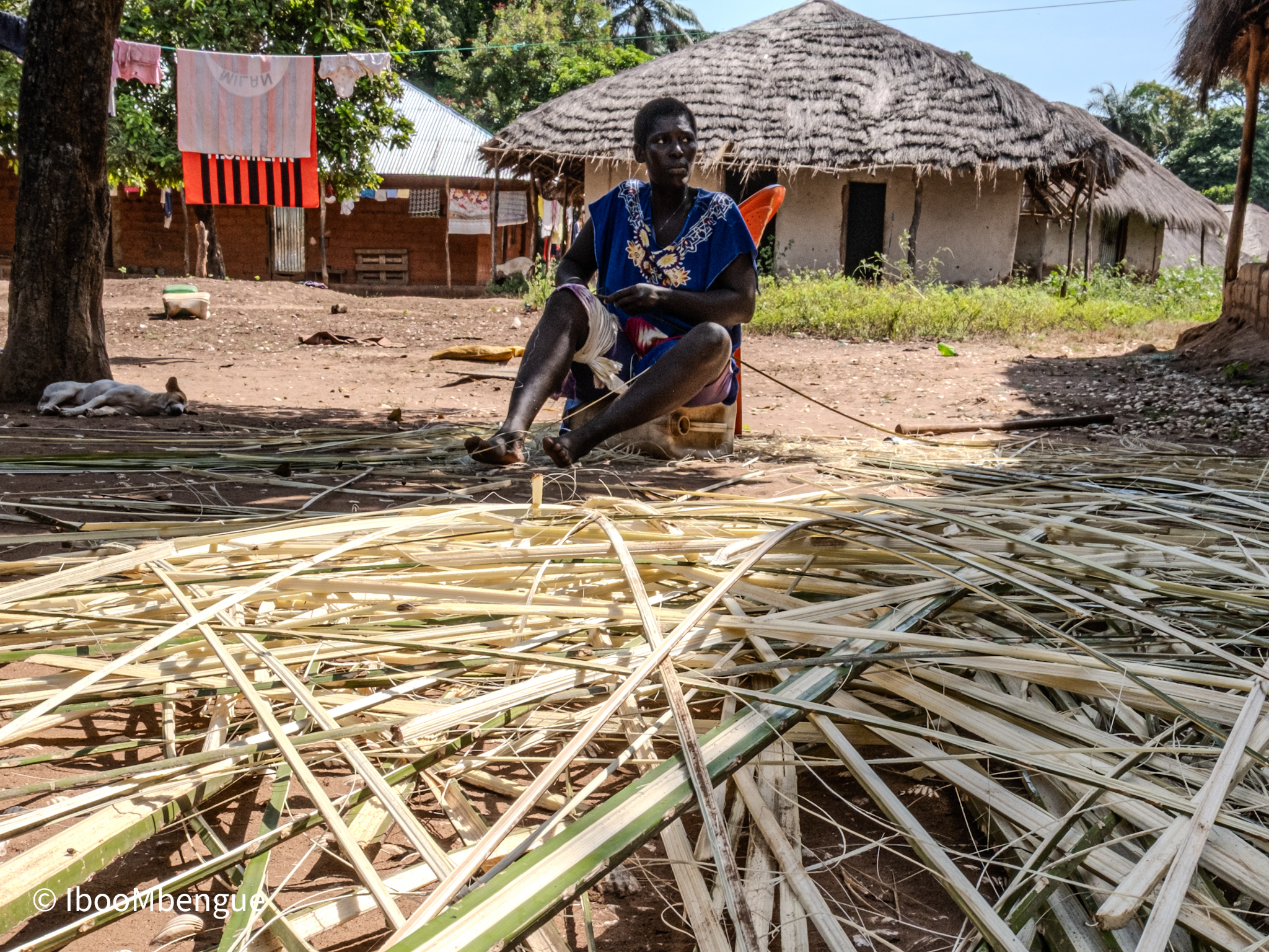 Des bambous servent à préparer des nattes qui seront vendues dans là ville ville de Boubaké ensuite acheminées à Bissao la Capitale